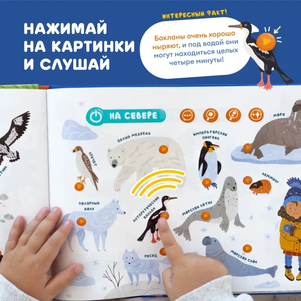 Интерактивная книга Abumba Fingerbook® «Какие бывают животные».