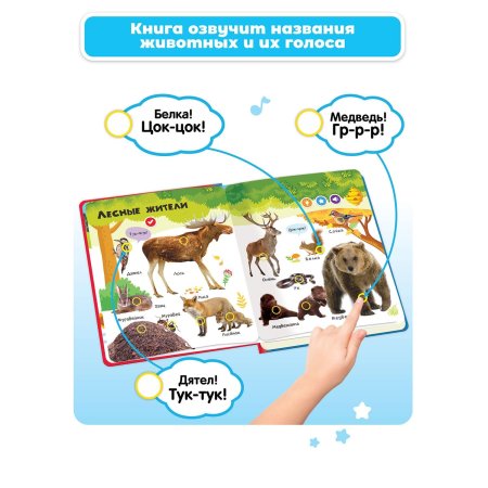 BertToys Говорящая книга "Нажималка"- Животные