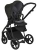 Roan Коляска 2 в 1 Sol / цвет Black Forest (черный)