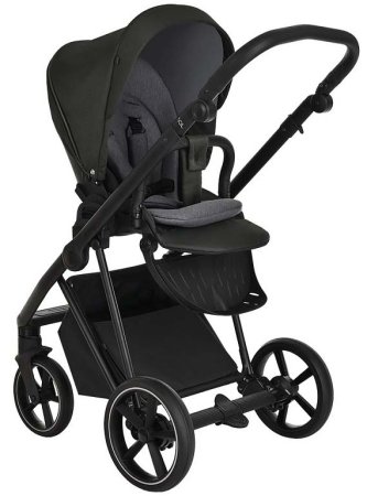 Roan Коляска 2 в 1 Sol / цвет Black Forest (черный)