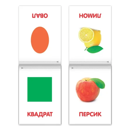 Набор книжек "Обучающие карточки на скрепке" 8 шт  20 стр. 3015934
