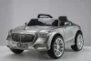 Автомобиль Mercedes Benz Maybach YPT 6153 (Серебро краска)