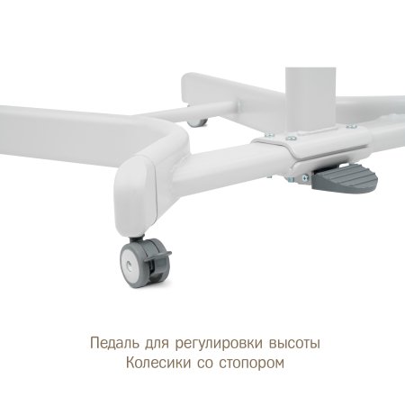 Simplicity Колыбель-стульчик 3000 Elite 5 в 1 / цвет Beige