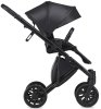 Anex Коляска 2 в 1 e/type / цвет Swan (черный)