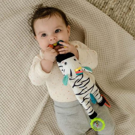 Fehn Развивающая игрушка Зебра