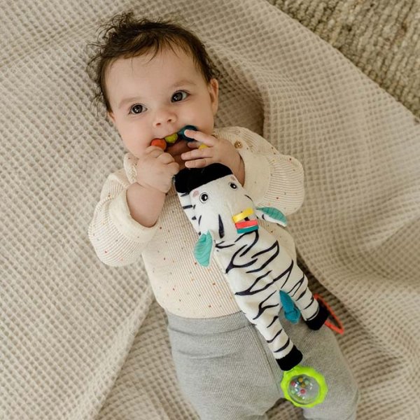 Fehn Развивающая игрушка Зебра
