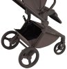 Детская коляска ANEX Flo 2in1  ((fl-07c) Browny)
