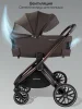 Коляска 2в1 Phenom с термолюлькой Amarobaby (Шоколадный)
