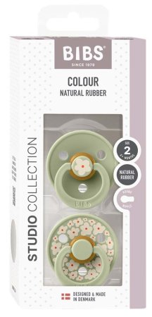 Bibs Набор латексных пустышек Studio Colour, 6+ месяцев Jasmine - Sage Mix