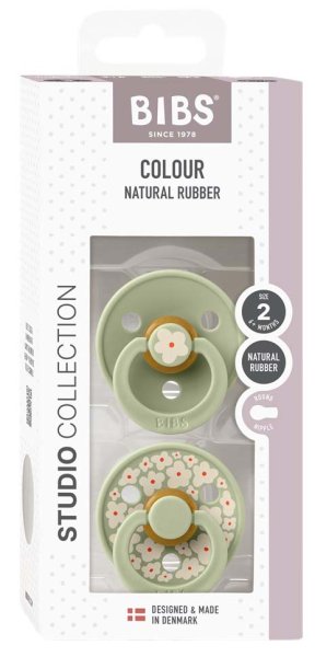Bibs Набор латексных пустышек Studio Colour, 6+ месяцев Jasmine - Sage Mix