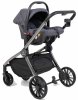 Farfello Коляска 3 в 1 Baby shell / цвет Dark Grey (темно-серый), рама Black chrome