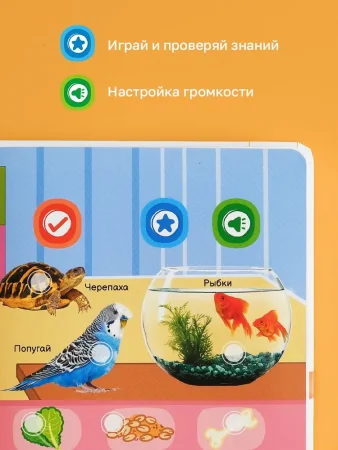 BertToys Интерактивная игрушка говорящая Нажималка Всё о животных развивашки для детей