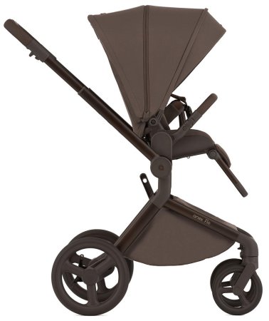Детская коляска ANEX Flo 2in1  ((fl-07c) Browny)