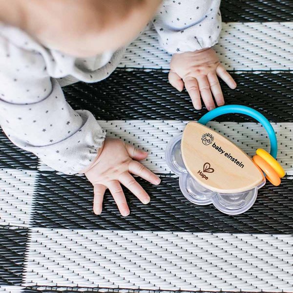 Hape Музыкальная игрушка 2 в 1: бубен и погремушка