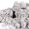 В поисках сокровищ Набор для раскопок Тайны египетских пирамид