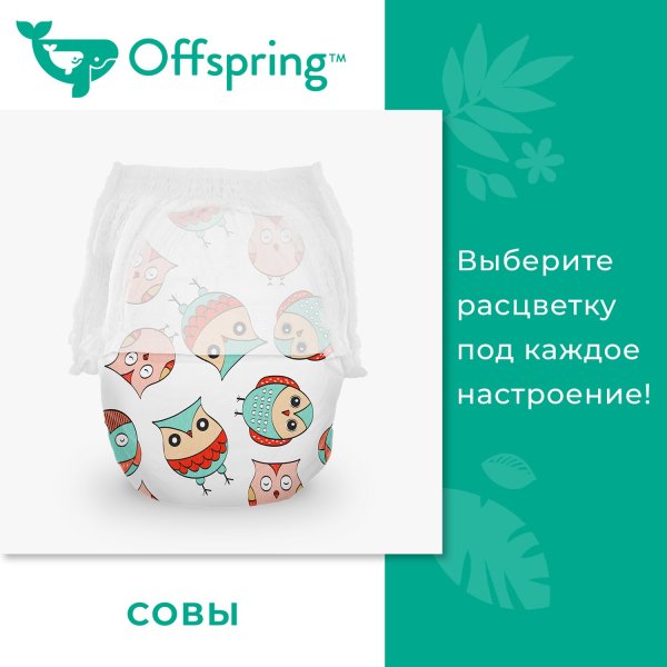 Offspring Трусики-подгузники L 9-14 кг, 36 шт / цвет Совы