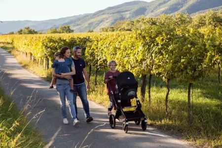 Swandoo Автокресло детское Albert Lite / цвет Sesame Grey