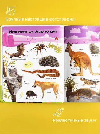 Большая говорящая книга "Нажималка"-Животные 28стр.книга