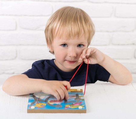 Лабиринт магнитный малый "Лягушка"