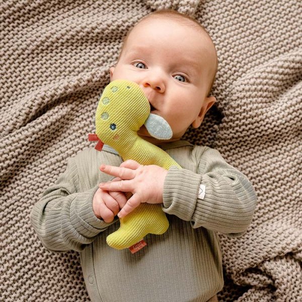 Fehn Мягкая погремушка-кольцо Динозавр