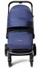 Labala Коляска Raiz 2 в 1 / цвет Blue (синий)