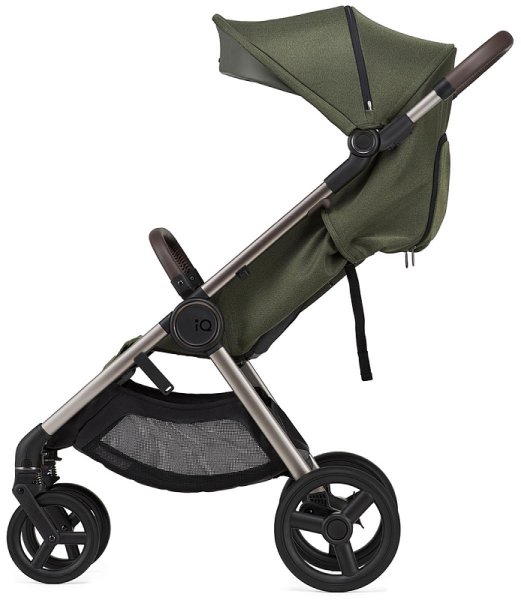 Anex Коляска 2 в 1 iQ Premium / цвет Richi (темно-зеленый)
