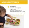 Игрушка-сортер Chicco “Огород” 2-в-1 00012554000000