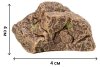 Паремо Фигурки из серии "Мир диких животных": Семья тигров, 6 предметов