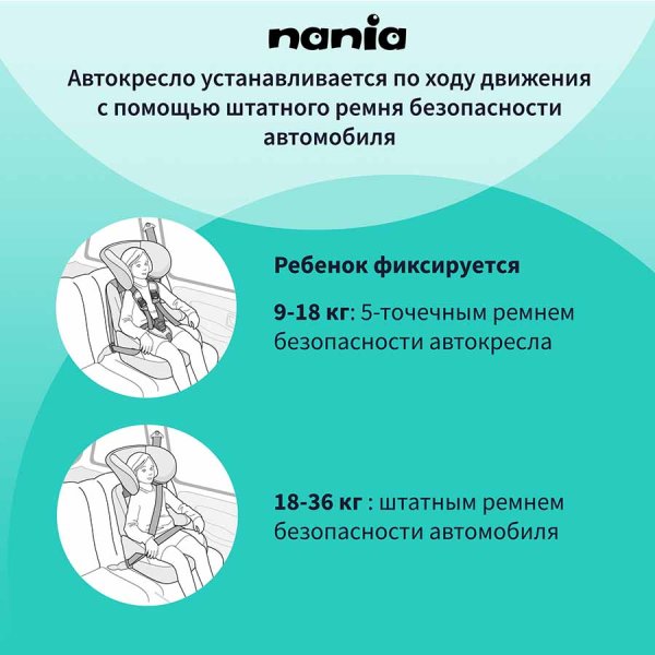 Nania Автокресло Beline Eco (9-36 кг) / цвет черный