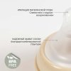 Paomma Стеклянная бутылочка, 240 мл / цвет Almond milk (бежевый)