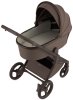 Детская коляска ANEX Flo 2in1  ((fl-07c) Browny)