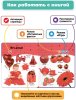 BertToys Говорящая книга «Нажималка. Цвета»