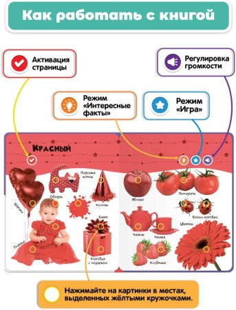 BertToys Говорящая книга «Нажималка. Цвета»