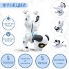 IQ BOT Интерактивная игрушка "Дружок-трюкач" звук, управление с пульта 