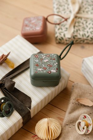 Контейнер для пустышки BIBS Liberty - Chamomile Lawn - Pine