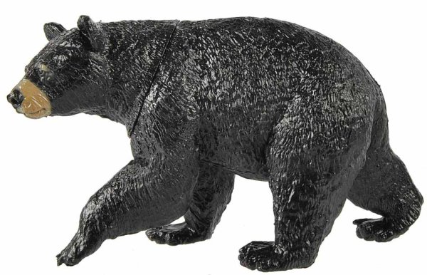 ABtoys Игровой набор "Юный натуралист"