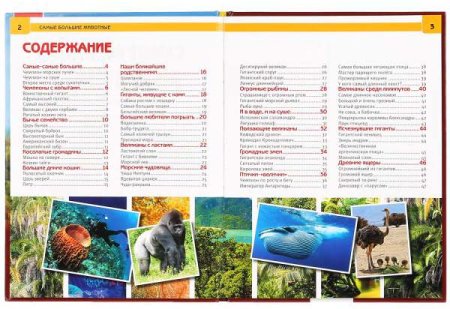 Умка Энциклопедия с развивающими заданиями «Самые большие животные»  – внешний вид и детали