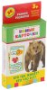 Росмэн Набор карточек "Кто где живет, кто что ест?", серия «Умные карточки»