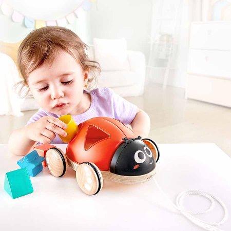Hape Каталка - сортер "Божья коровка", 5 предметов