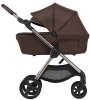 Anex Коляска 2 в 1 IQ / цвет Teddy (коричневый)