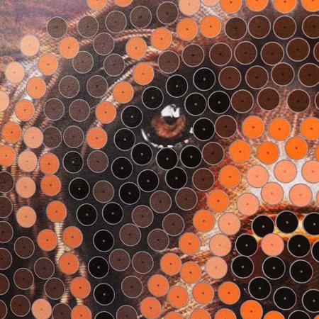 Мульти Арт Картина из пайеток «Собака»  – внешний вид и детали