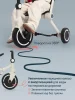 (м)Трехколес.склад.велос.SmarTrike Wonder  (5800501 Moonlight off white)