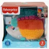 Развивающая игрушка Fisher-Price HBP42