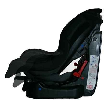 Nania Driver Автокресло 0-18кг / цвет Animals Zebre Black черный