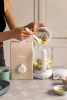 Beaba Блендер-пароварка BABYCOOK EXPRESS CLAY EART EU