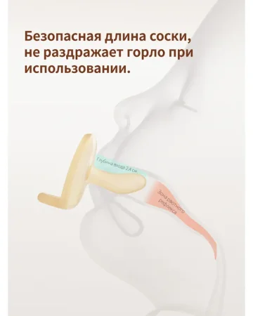 TN-D05-RA Соска- пустышка  Thyseed (0-6мес.)
