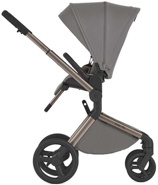 Anex Коляска 2 в 1 Flo / цвет Charm (серый)