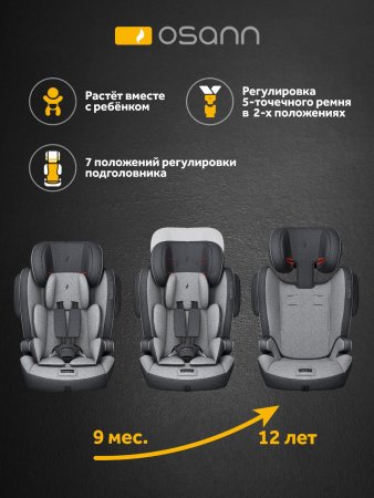 Osann Автокресло Flux Plus (9-36 кг) / цвет Universe Grey (серый)