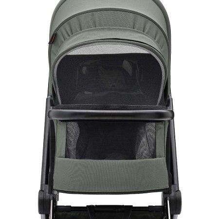 Labala Коляска Raiz 2в1/ цвет Green(зеленый)