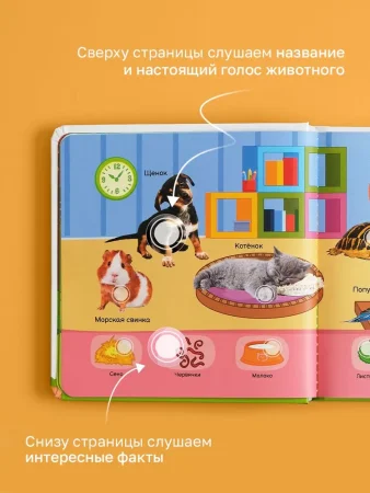 BertToys Интерактивная игрушка говорящая Нажималка Всё о животных развивашки для детей